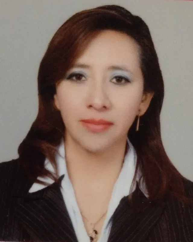 Ing. Beatriz Mamani Mendoza