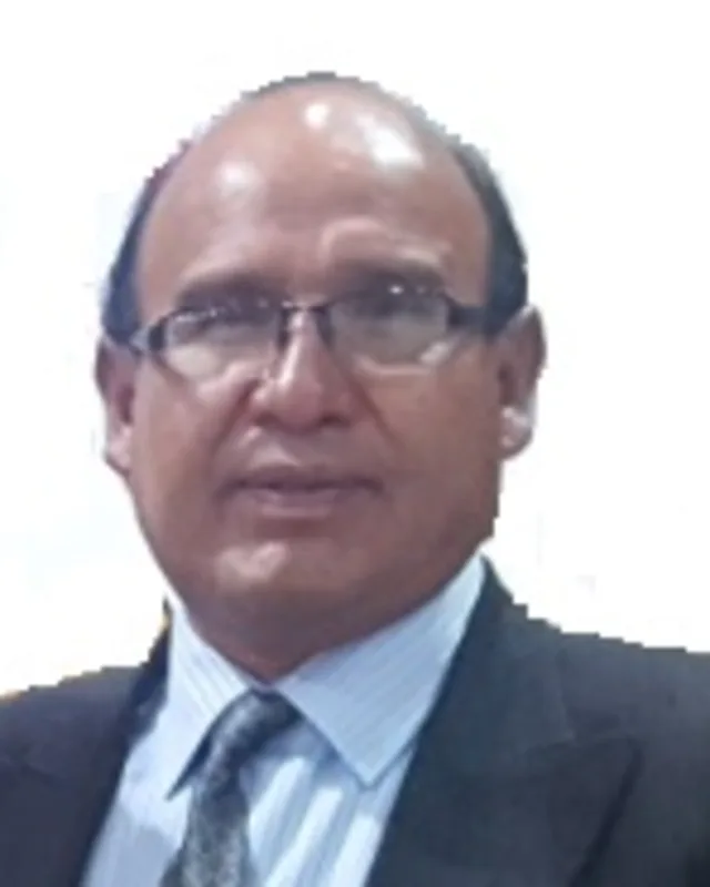 M.Sc. Ing. Julio César Bermúdez Vargas